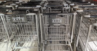 A photo of shopping carts.