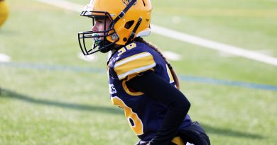 A football player gets ready to go.