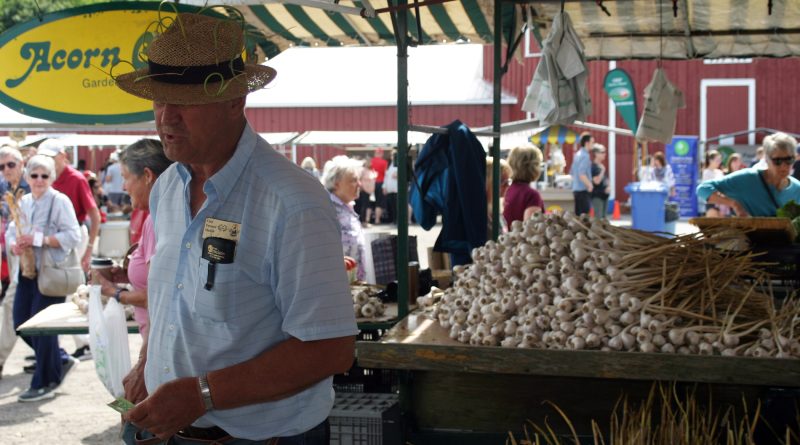 A photo of a garlic farmer.