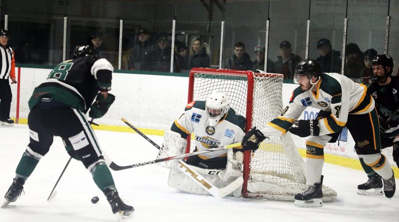 A hockey player prepares to shoot a puck.