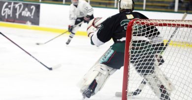 A goalie prepares to make a save.