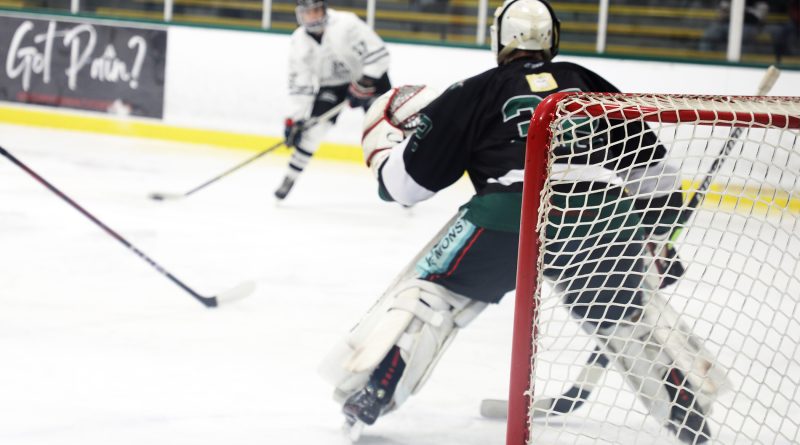 A goalie prepares to make a save.