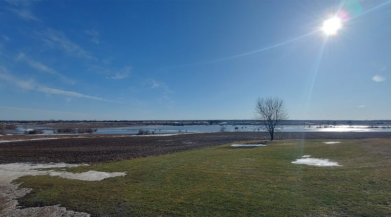 A photo of a swollen Carp River.