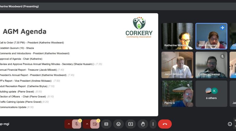 A screengrab of an online meeting.