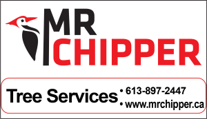 An ad for Mr. Chipper tree services. Click the ad to be taken to a screen readable website