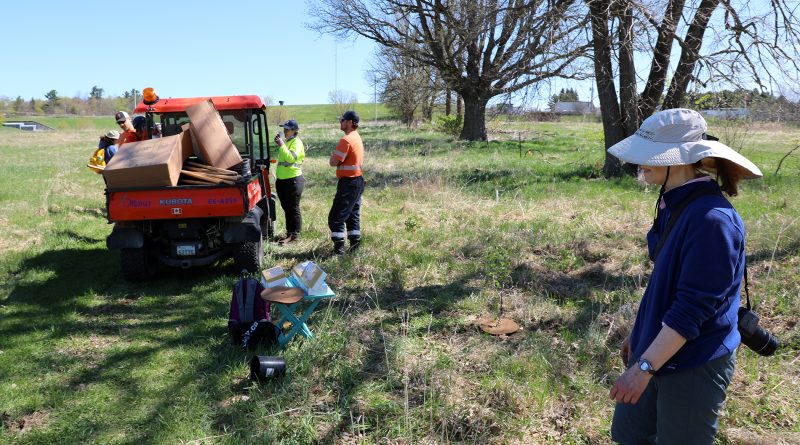 People clean up after planting trees.