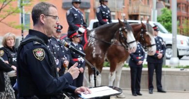 A man talks in front of horses.