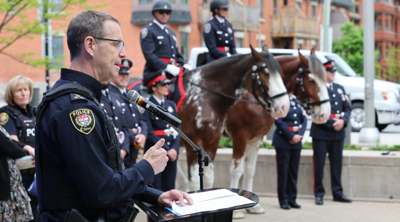 A man talks in front of horses.