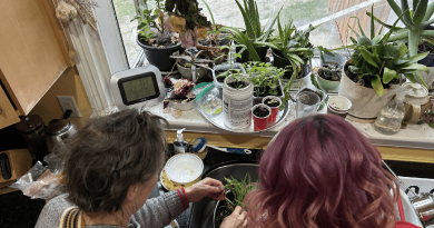 Two people clean plants.