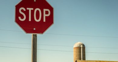 A photo of a stop sign.