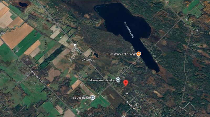 A map of Dunrobin Road.