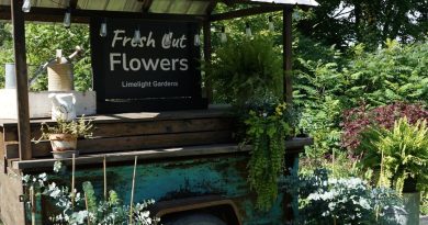 A photo of a garden stand,