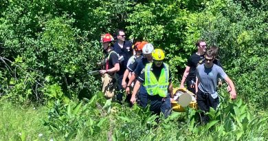 A photo of emergency workers taking a person out of the forest.