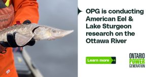 An ad for OPG's fish and eel research. Click for a screen readable version of their study.