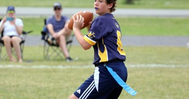 A quarterback drops back to make a pass.