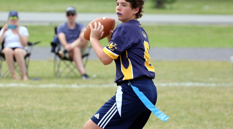 A quarterback drops back to make a pass.