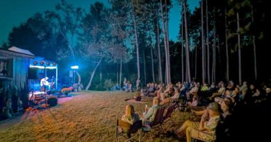 People listen to music in the forest.