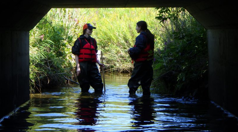 A photo of two people standing in a stream.