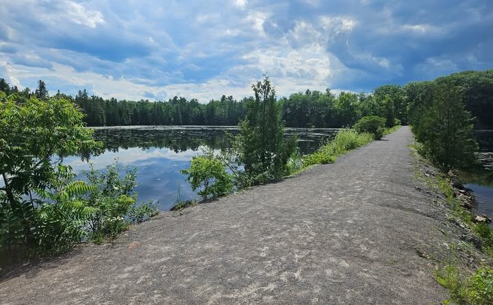 A photo of a trail on Morris Island.