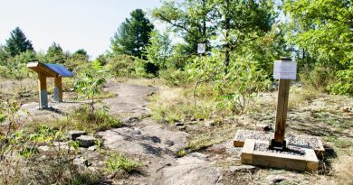 A photo of a hiking trail.