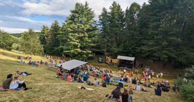 A photo of people at a festival.