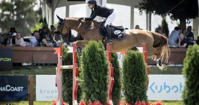 A horse jumps a huge fence.