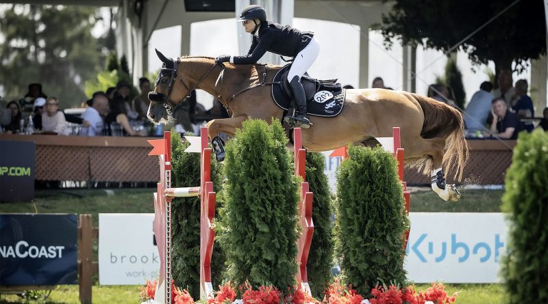 A horse jumps a huge fence.