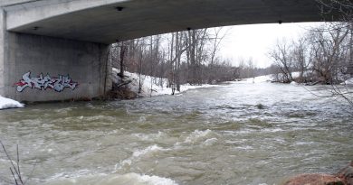 A photo of the Carp River.