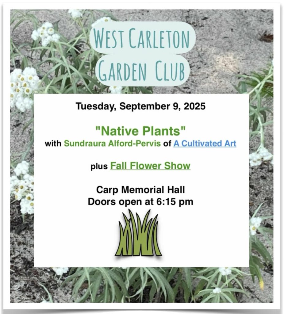 A poster for the event.
