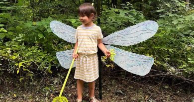A photo of a child with wings.