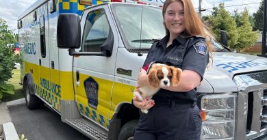 A photo of a paramedic holding a dog.