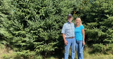 Two people stand in front of Christmas trees.