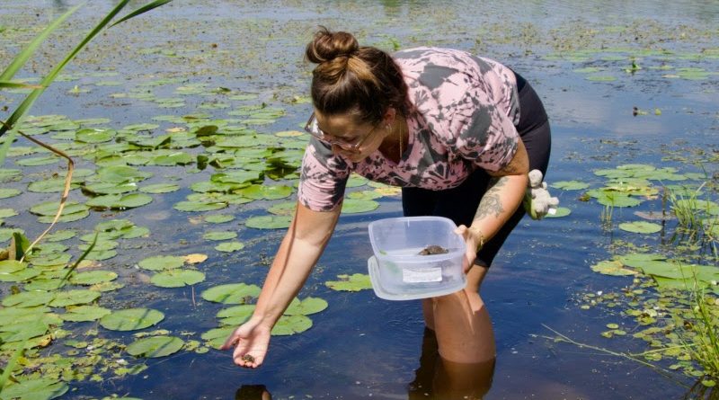 A woman releases a turtle in to a pond.