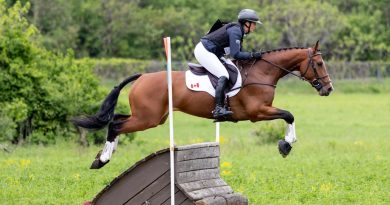 A horse and rider jump a fence.