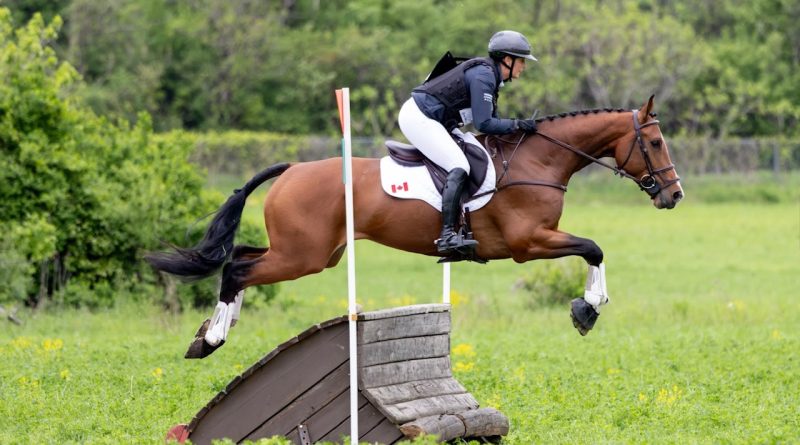 A horse and rider jump a fence.