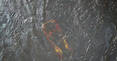 A photo of a car in the water.