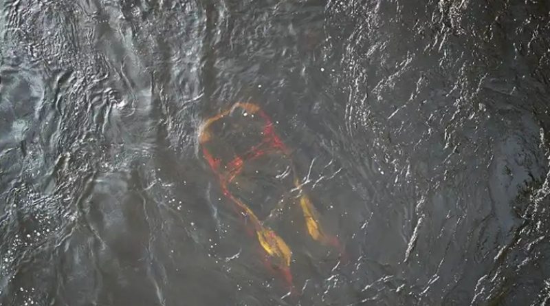 A photo of a car in the water.
