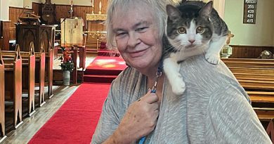 A cat sits on a person's shoulder.
