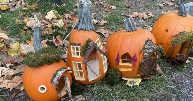 A photo of jack 'o lanterns.