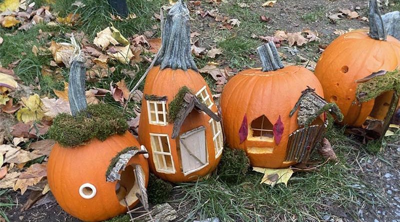 A photo of jack 'o lanterns.