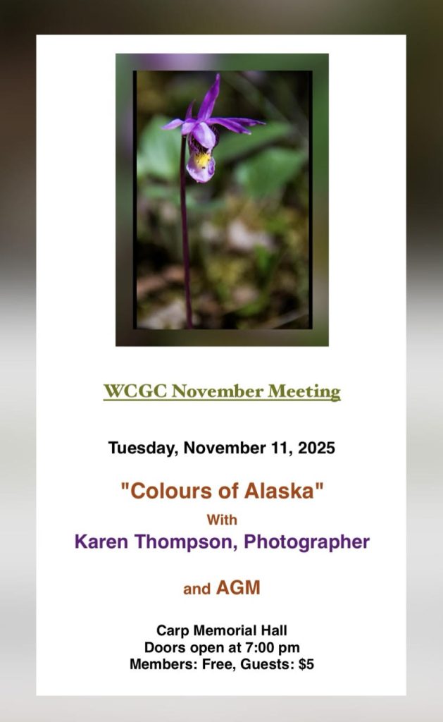 A poster for the event.