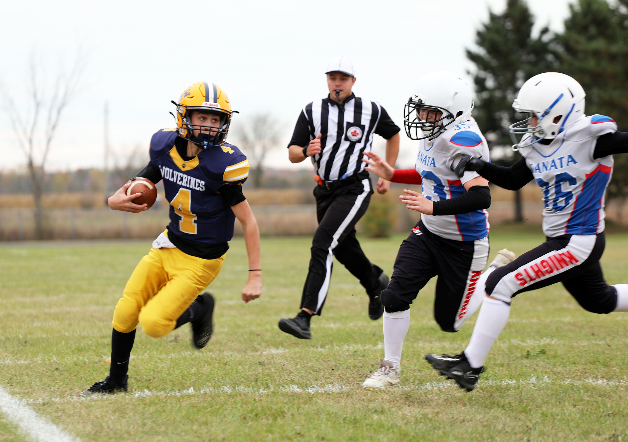 Wolverines are NCAFA playoff ready