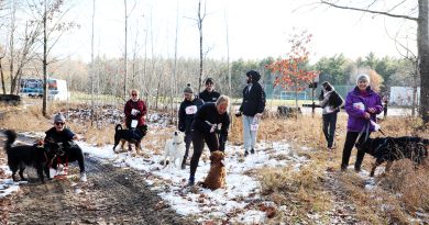 Dogs and runners get ready for a race.