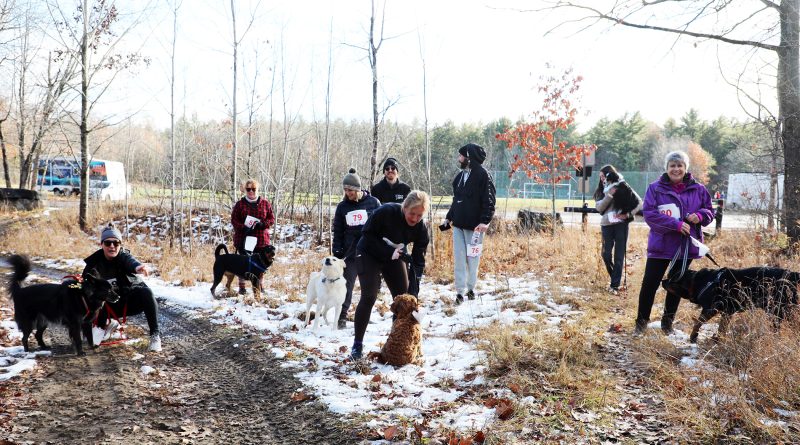 Dogs and runners get ready for a race.