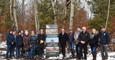 A group of people pose in the woods.