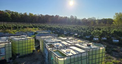 A photo of a cannabis operation.