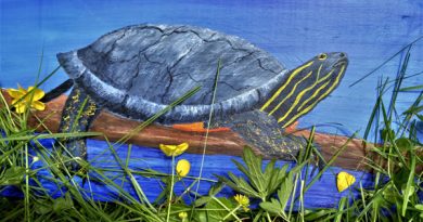 A painting of a turtle.