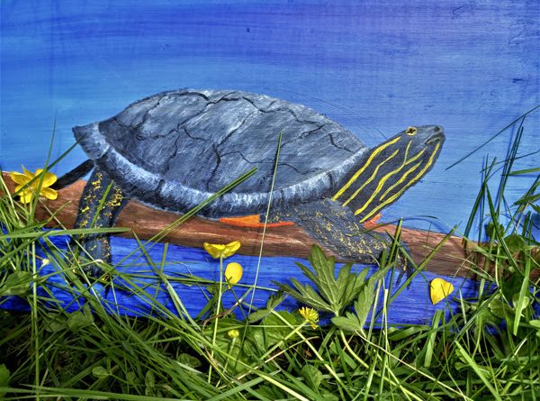 A painting of a turtle.
