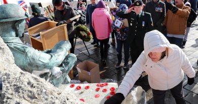 West Carleton remembers in the snow A female solder salutes a war memorial.