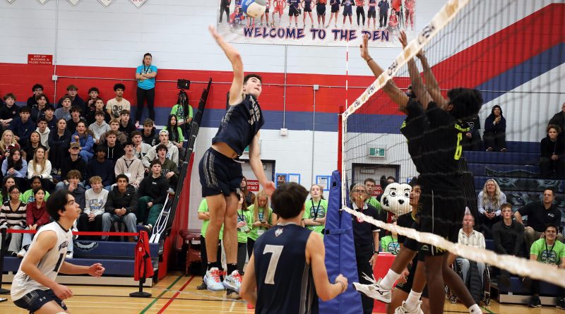 A volleyball player spikes the ball.